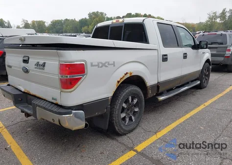 2010 Ford F-150 Fx4/Harley-Davidson/King Ranch/Lariat/Platinum/Xl/Xlt z USA, uszkodzony, nr VIN 1FTFW1EV0AFD31825